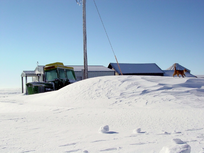 Tractor Snow.jpg